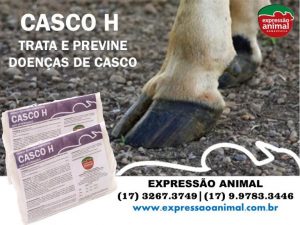 casco-claudicacao